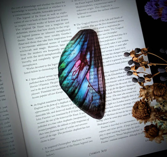 Fairy Wing Clear Bookmark