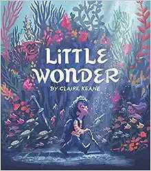 Little Wonder by Claire Keane Hardcover